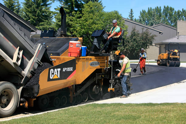 Best Local Driveway Pavers  in Trent Woods, NC